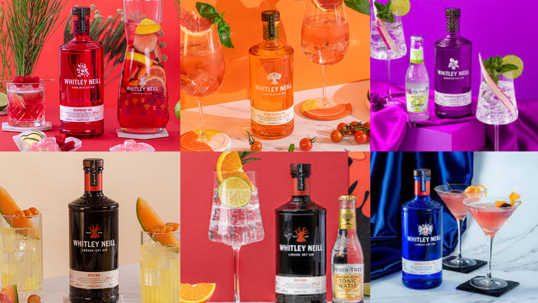 Collection of Whitley Neill's Flavoured  Gin