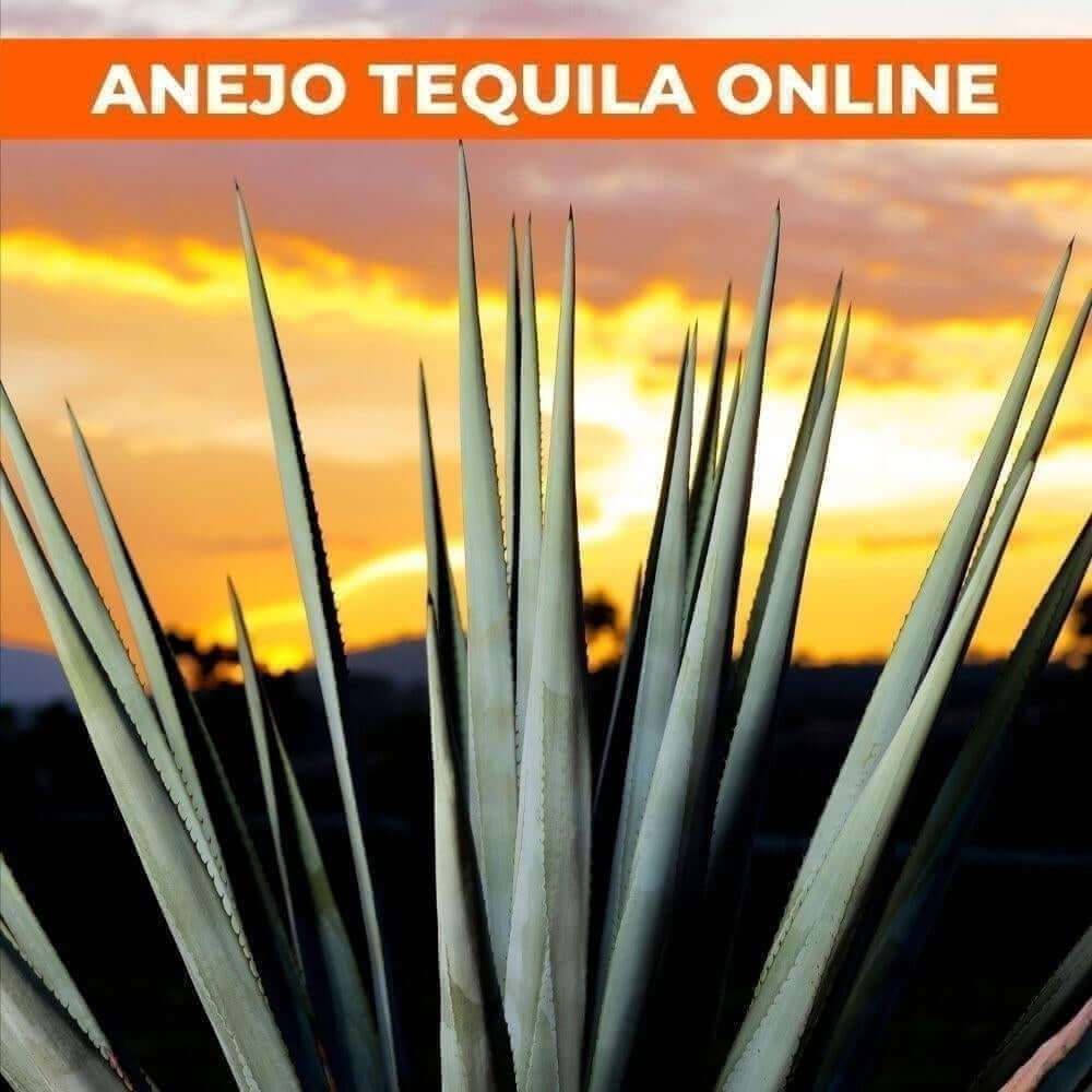 Anejo Tequila Hello Drinks