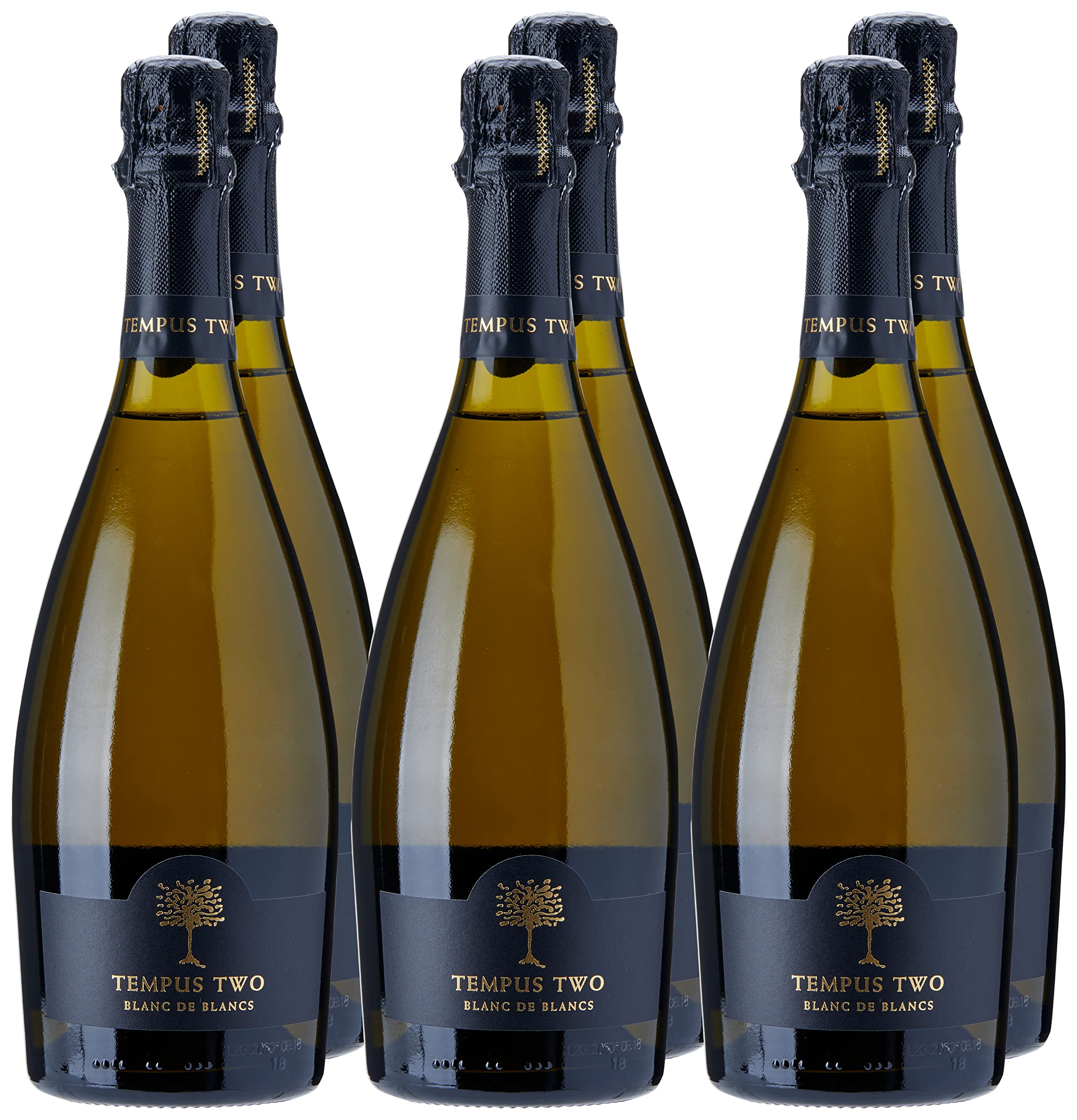 Tempus Two Varietal Blanc De Blancs Sparkling Wine 750 ml (Pack of 6)