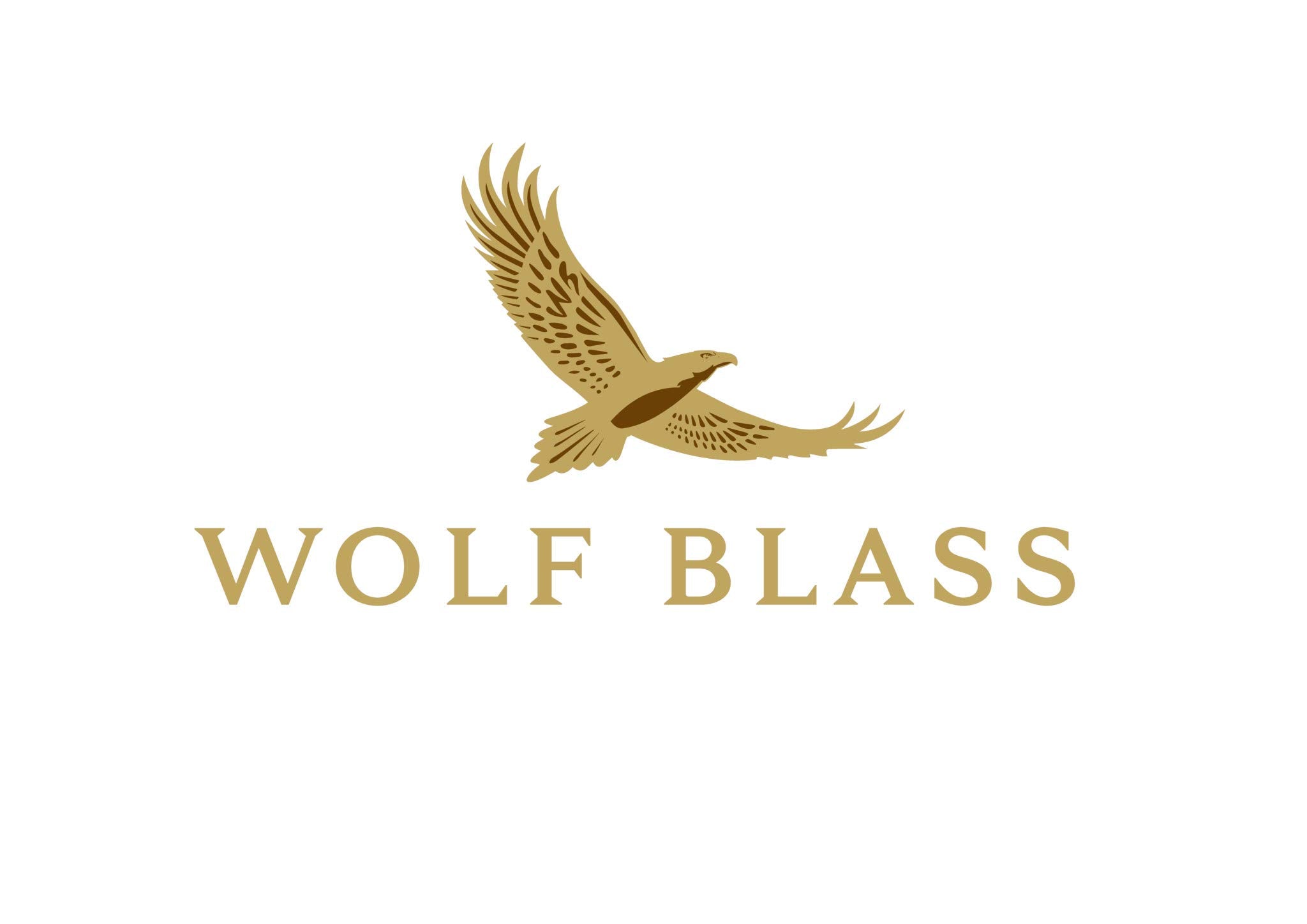 Wolf Blass Grey Label Cabernet Shiraz Wine 750ml (Single Bottle), 750 ml